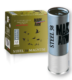 Mary Arm Steel 38 magnum