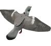 Appelant pigeon à ailes battantes Flappeur