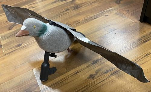 Appelant pigeon à ailes battantes Flappeur
