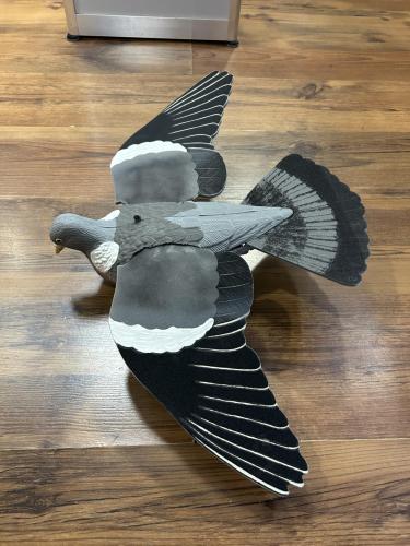 Appelant pigeon ramier Bird vision + ailes et queue EVA HD